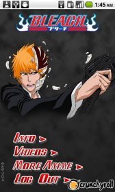 game pic for Bleach - Watch Legally Now